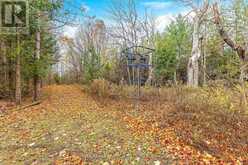 34566 SIDEROAD 5 West Grey