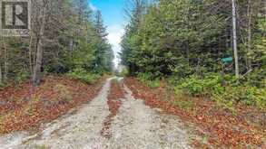 34566 SIDEROAD 5 West Grey