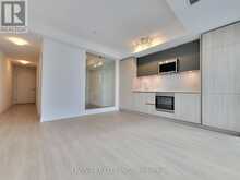 4821 - 28 WIDMER STREET Toronto