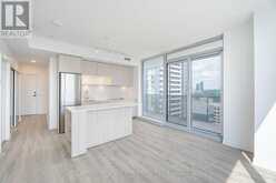 2304 - 20 TUBMAN AVENUE Toronto