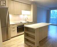 1802 - 20 TUBMAN AVENUE Toronto