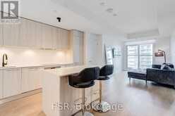 1108 - 501 ADELAIDE STREET W Toronto