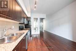 271 - 209 FORT YORK BOULEVARD Toronto