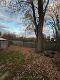 LOWER - 171 PHILLIP MURRAY AVENUE Oshawa