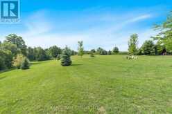 1273 NOTTAWASAGA CONC 6 Clearview