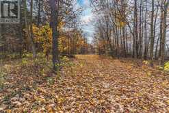 5909 EBENEZER SIDEROAD Tay