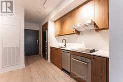 212 - 9 TECUMSETH STREET Toronto