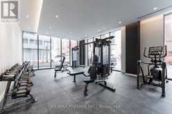 212 - 9 TECUMSETH STREET Toronto