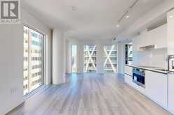 2904 - 238 SIMCOE STREET Toronto