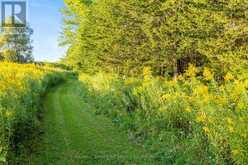 610 MORNING SIDE ROAD East Gwillimbury