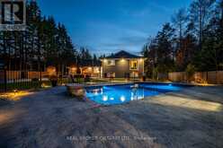 8 CRYSTALWOOD LANE Springwater