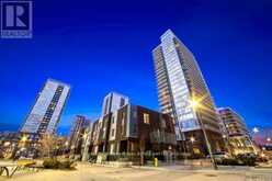 417 - 20 TUBMAN AVENUE Toronto