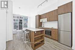 417 - 20 TUBMAN AVENUE Toronto