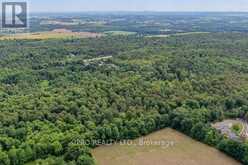 7899 15 SIDE ROAD Halton Hills