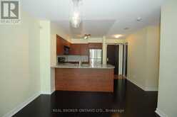 509 - 30 GRAND TRUNK CRESCENT Toronto