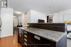 713 - 205 FREDERICK STREET Toronto