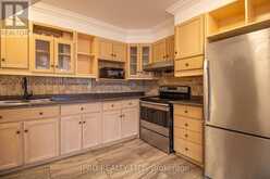 2102 - 100 MORNELLE COURT Toronto