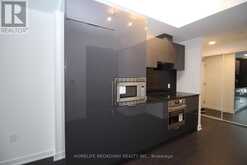 3001 - 238 SIMCOE STREET Toronto