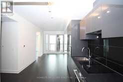 3001 - 238 SIMCOE STREET Toronto