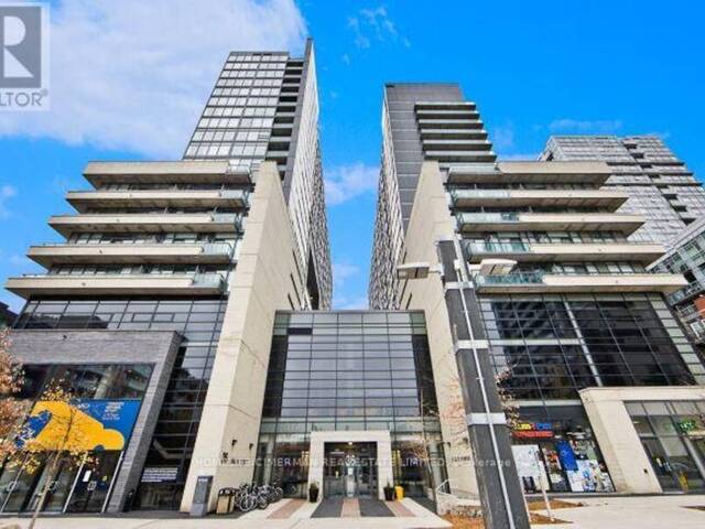 802E - 36 LISGAR STREET Toronto Ontario