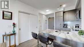 710 - 223 ST CLAIR AVENUE W Toronto