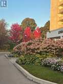 809 - 1360 YORK MILLS ROAD S Toronto