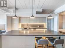 405 - 160 BALDWIN STREET Toronto