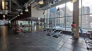 1002 - 386 YONGE STREET Toronto