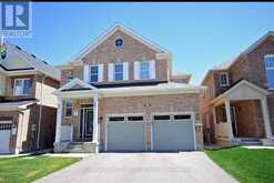 BSMT - 69 STEDFORD CRES Brampton