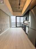 1715 - 195 MCCAUL STREET Toronto