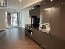 3007 - 238 SIMCOE STREET N Toronto