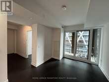 3007 - 238 SIMCOE STREET N Toronto