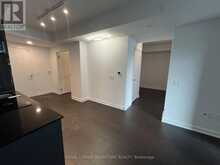 3007 - 238 SIMCOE STREET N Toronto