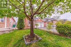 3 ORCHID DRIVE Brampton