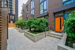 TH 2 - 33 DUNDONALD STREET S Toronto