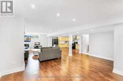 38 ASSISI STREET Hamilton