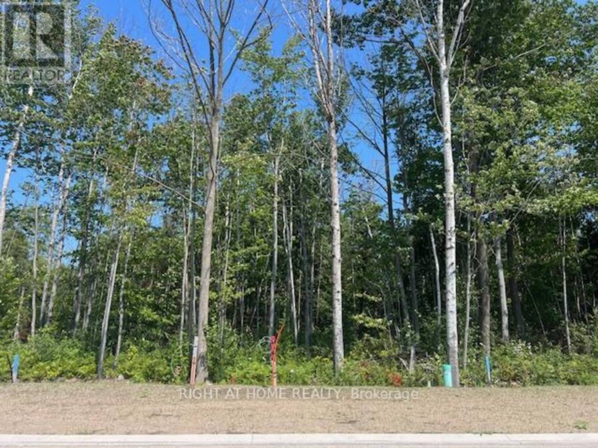 LOT 77 MAPLESIDE DRIVE Wasaga Beach