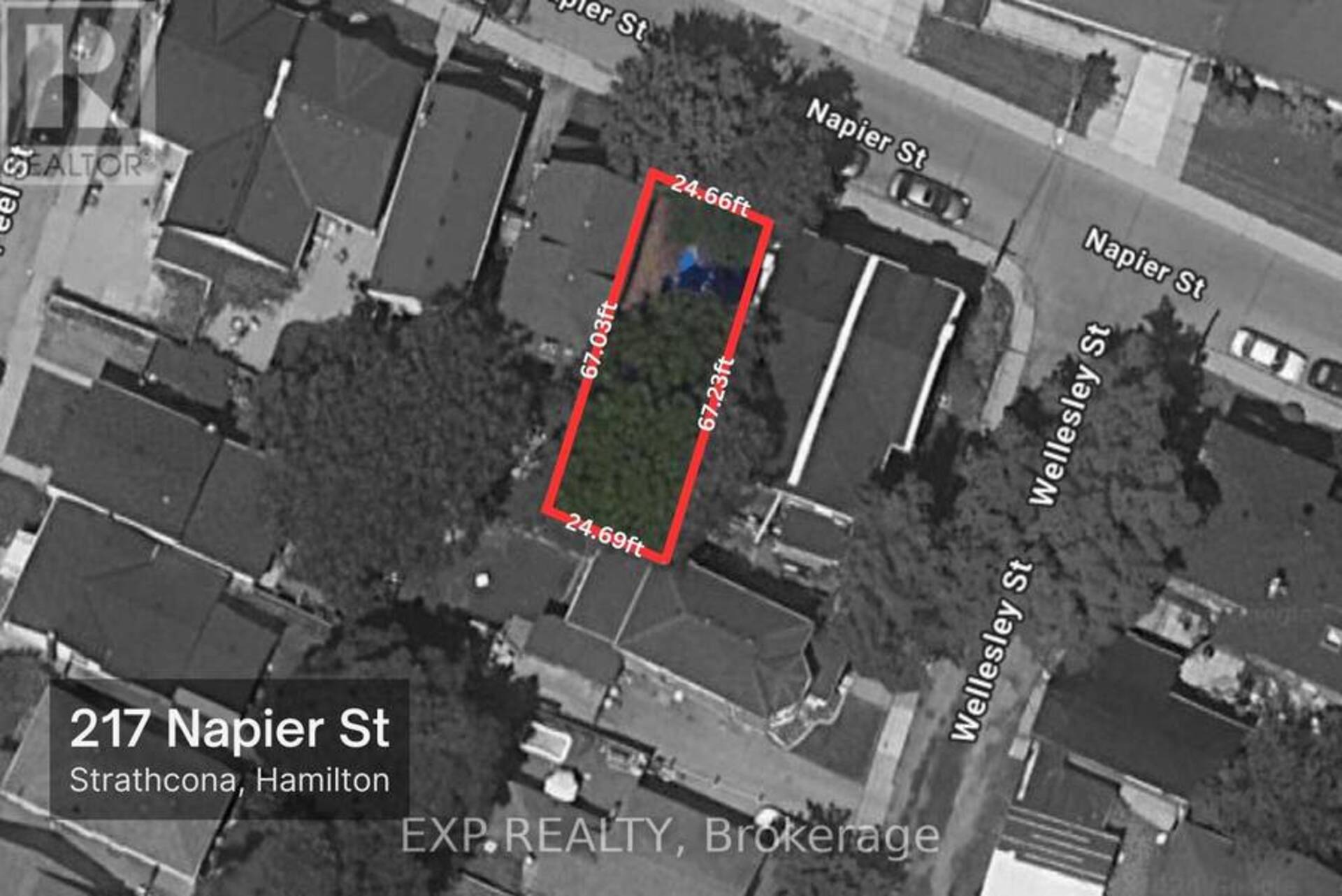 217 NAPIER STREET Hamilton