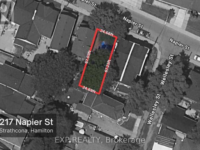 217 NAPIER STREET Hamilton Ontario