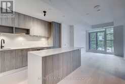 408 - 501 ADELAIDE STREET W Toronto