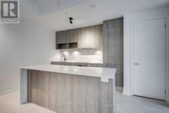 408 - 501 ADELAIDE STREET W Toronto