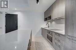 408 - 501 ADELAIDE STREET W Toronto