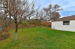 238 EPSOM DOWNS DRIVE Toronto