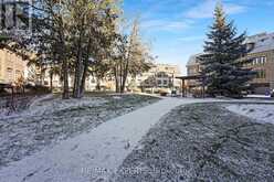 8335 KIPLING AVENUE Vaughan