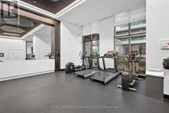 2409 - 30 SAMUEL WOOD WAY Toronto