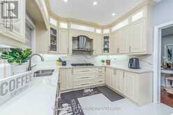 54 BRASSWINDS COURT Vaughan