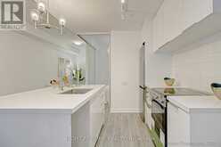 203 - 57 ST. JOSEPH STREET Toronto