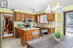 7 TIGERLILY COURT Toronto