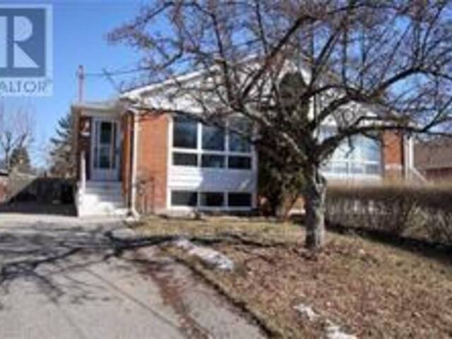 LOWER - 3443 QUEENSTON DRIVE Mississauga Ontario