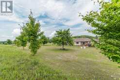 1650 COUNTY 25 ROAD Cramahe